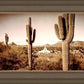 Phoenix Saguaro Cactus