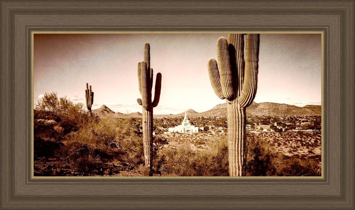 Phoenix Saguaro Cactus