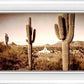 Phoenix Saguaro Cactus