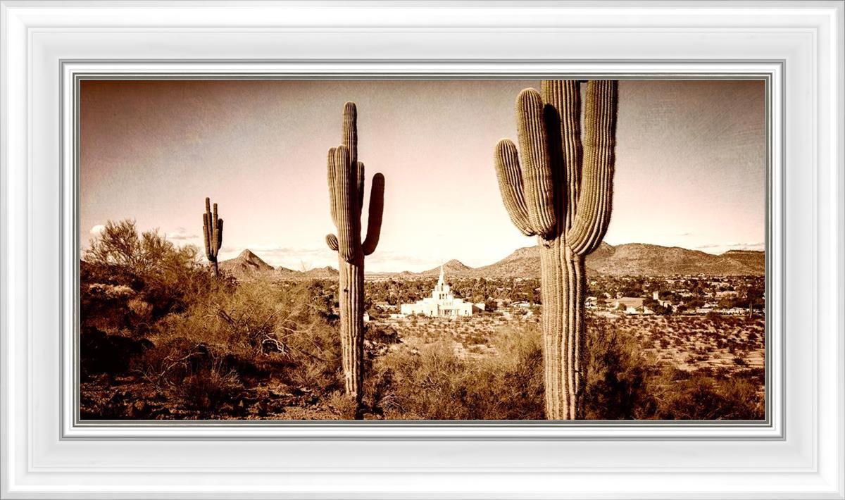 Phoenix Saguaro Cactus