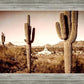 Phoenix Saguaro Cactus