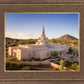 Phoenix Evening Warmth Aerial