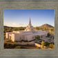 Phoenix Evening Warmth Aerial