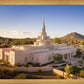 Phoenix Evening Warmth Aerial