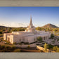 Phoenix Evening Warmth Aerial