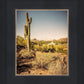 Phoenix Cactus Hill