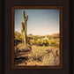 Phoenix Cactus Hill