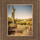 Phoenix Cactus Hill