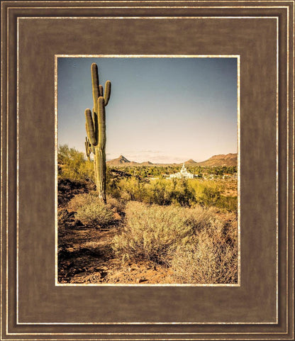 Phoenix Cactus Hill