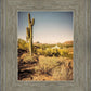 Phoenix Cactus Hill