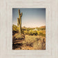 Phoenix Cactus Hill