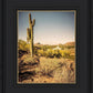 Phoenix Cactus Hill