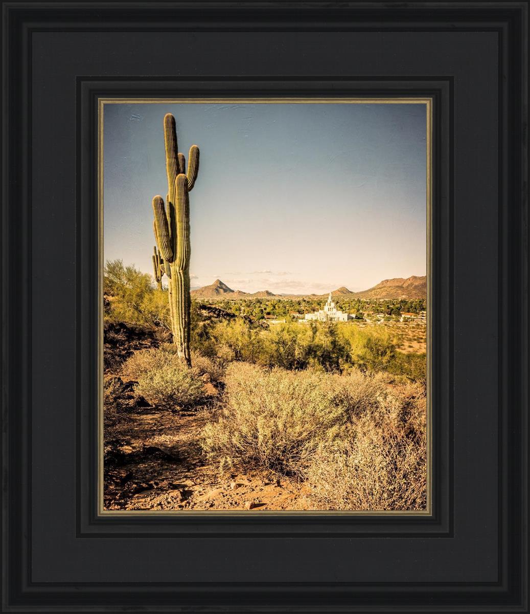 Phoenix Cactus Hill