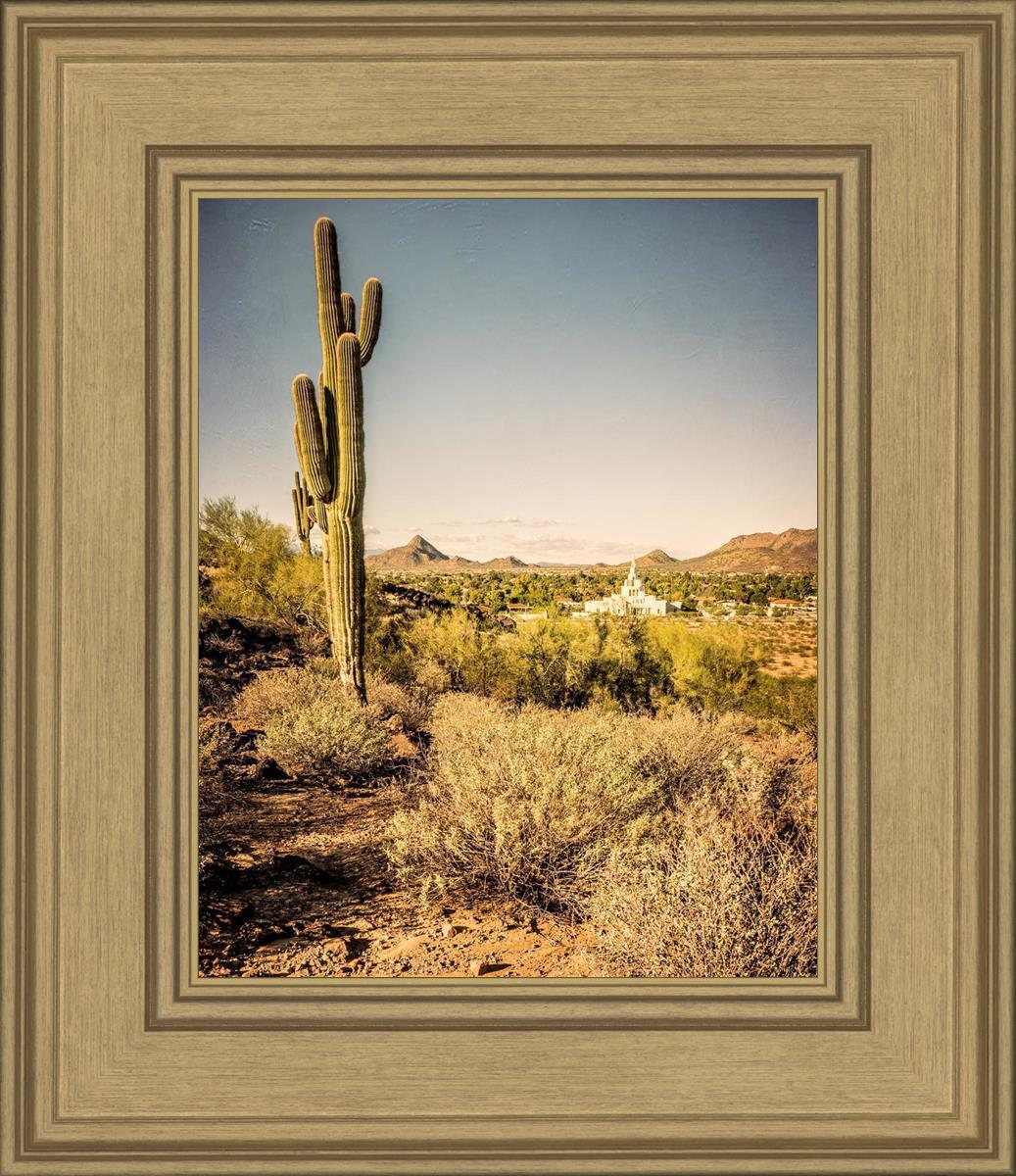 Phoenix Cactus Hill
