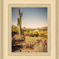 Phoenix Cactus Hill
