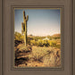 Phoenix Cactus Hill