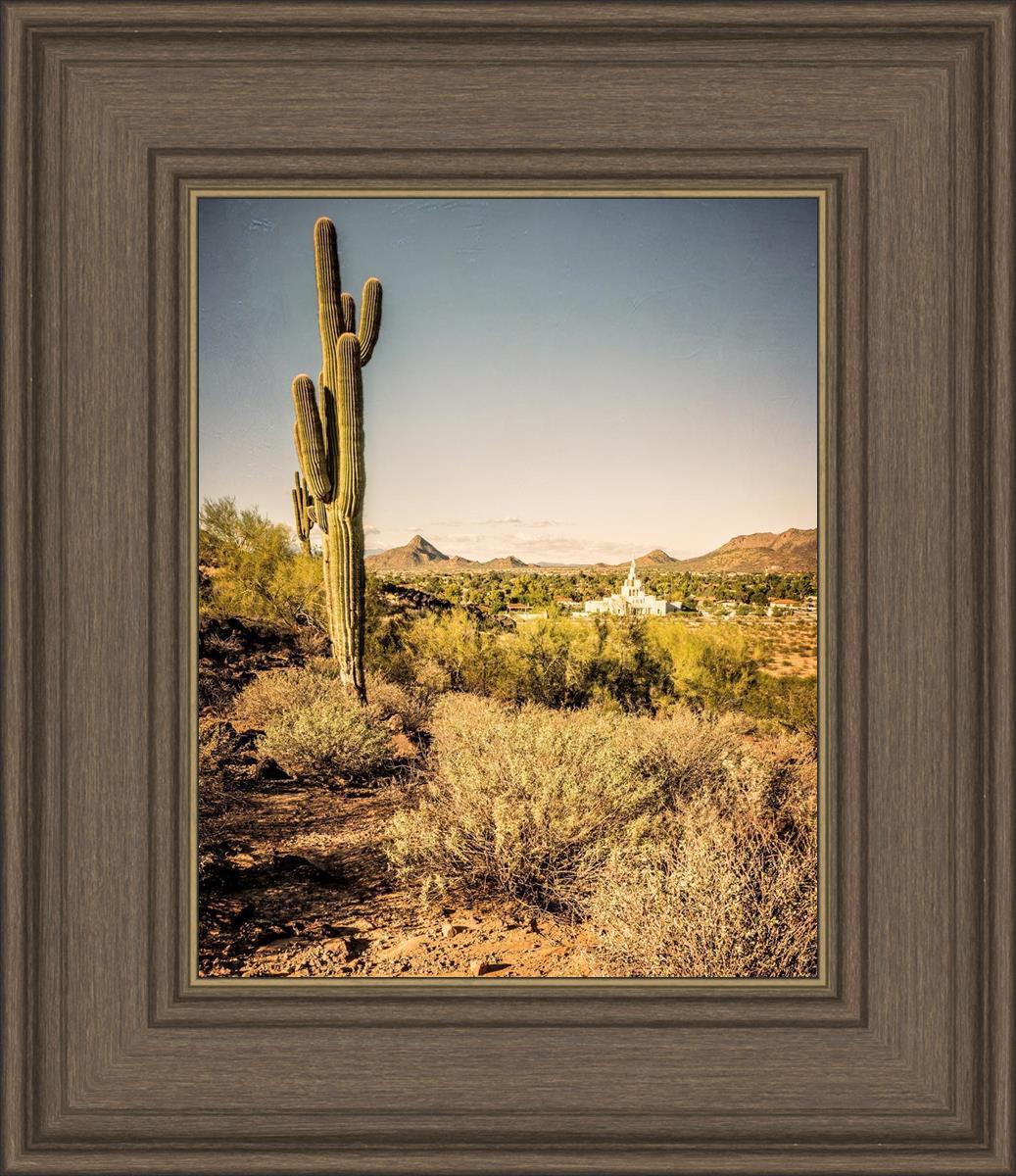 Phoenix Cactus Hill