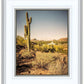 Phoenix Cactus Hill