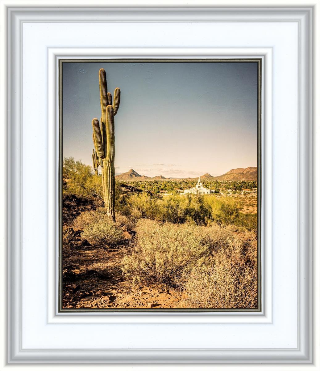 Phoenix Cactus Hill