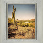 Phoenix Cactus Hill
