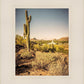Phoenix Cactus Hill