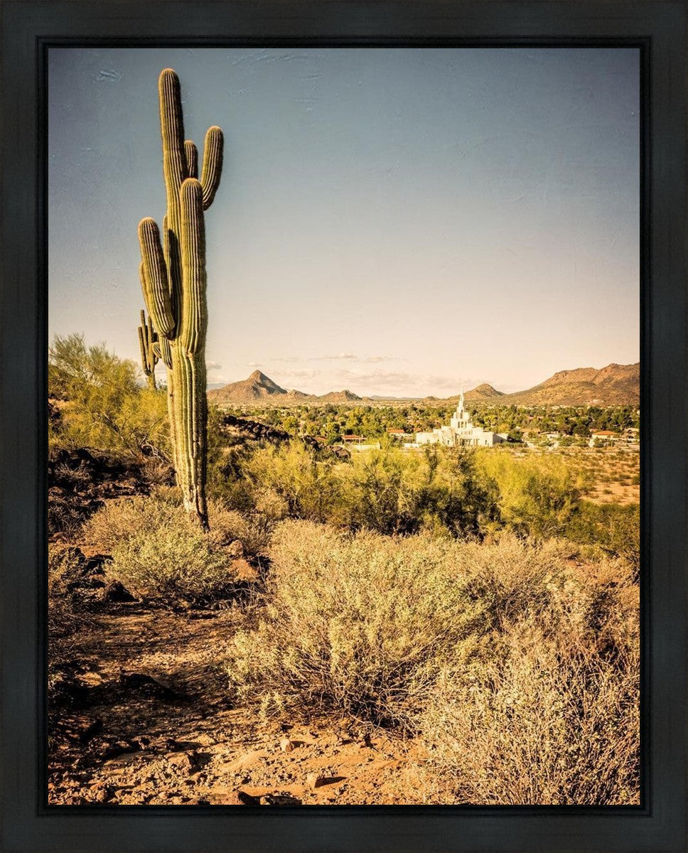 Phoenix Cactus Hill Gallery Wrap