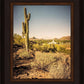 Phoenix Cactus Hill