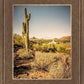 Phoenix Cactus Hill