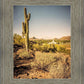 Phoenix Cactus Hill