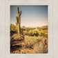 Phoenix Cactus Hill