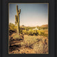 Phoenix Cactus Hill