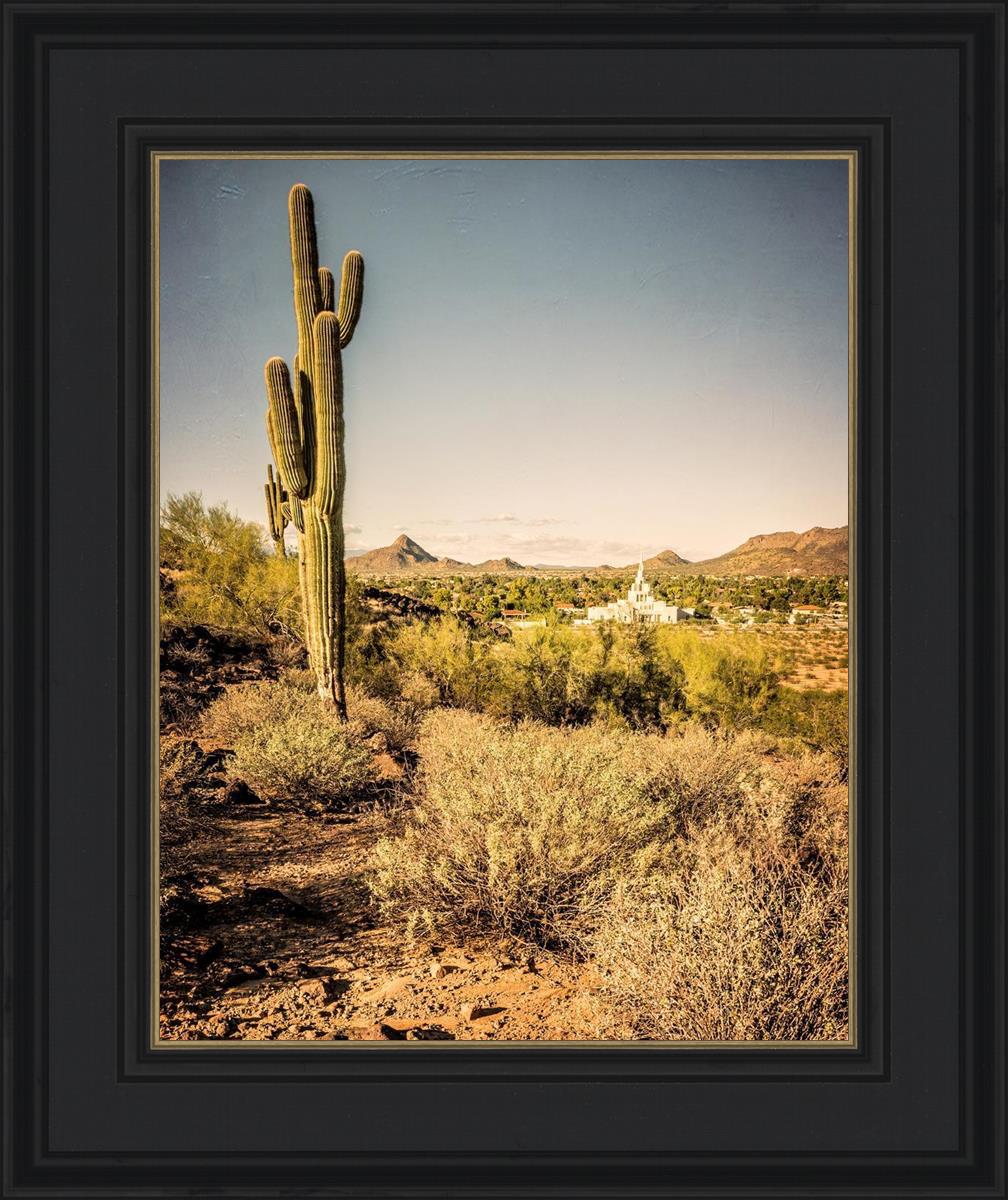 Phoenix Cactus Hill