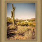 Phoenix Cactus Hill