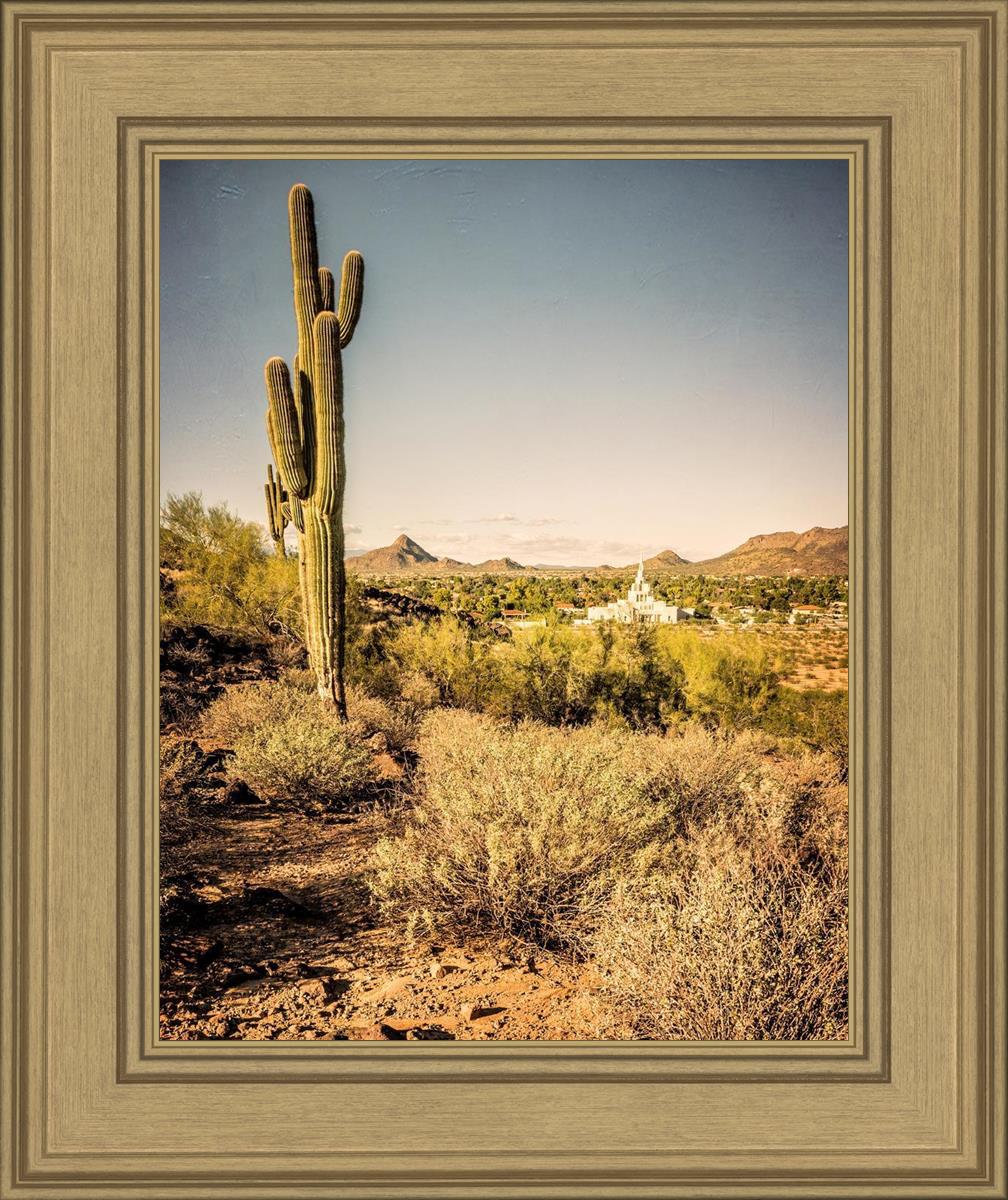 Phoenix Cactus Hill