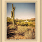 Phoenix Cactus Hill