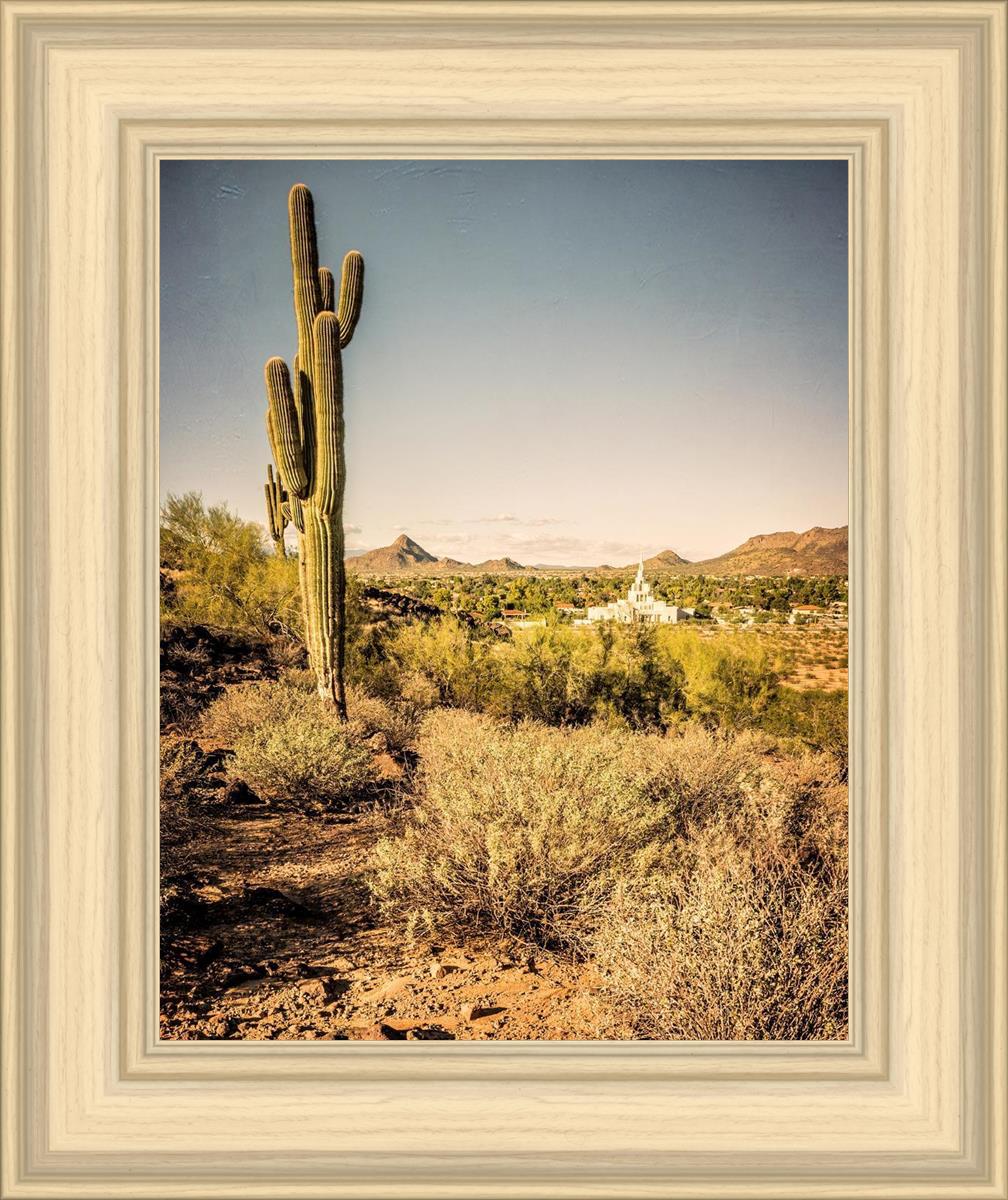 Phoenix Cactus Hill