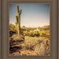 Phoenix Cactus Hill