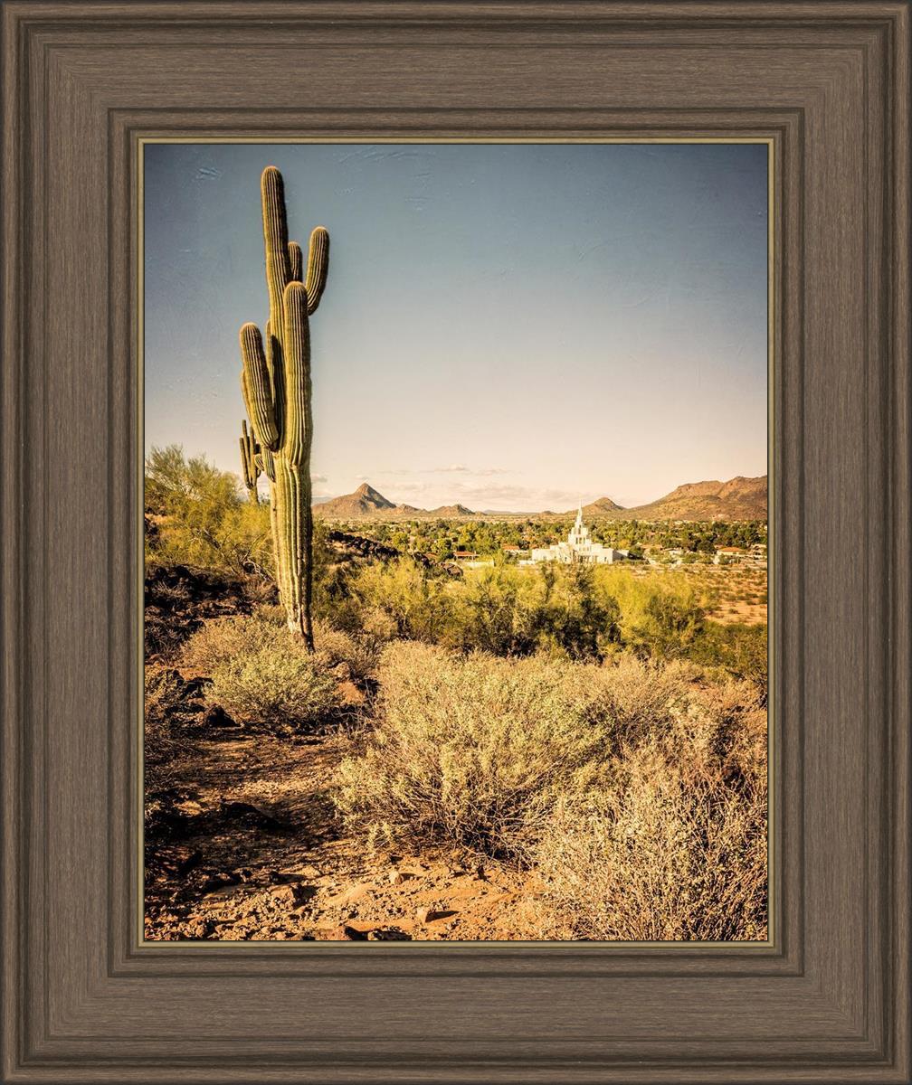 Phoenix Cactus Hill