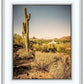 Phoenix Cactus Hill
