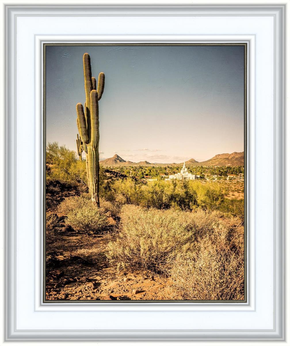 Phoenix Cactus Hill
