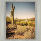 Phoenix Cactus Hill