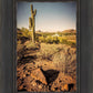 Phoenix Cactus Hill