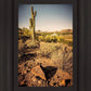 Phoenix Cactus Hill
