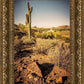 Phoenix Cactus Hill