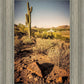 Phoenix Cactus Hill