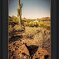 Phoenix Cactus Hill