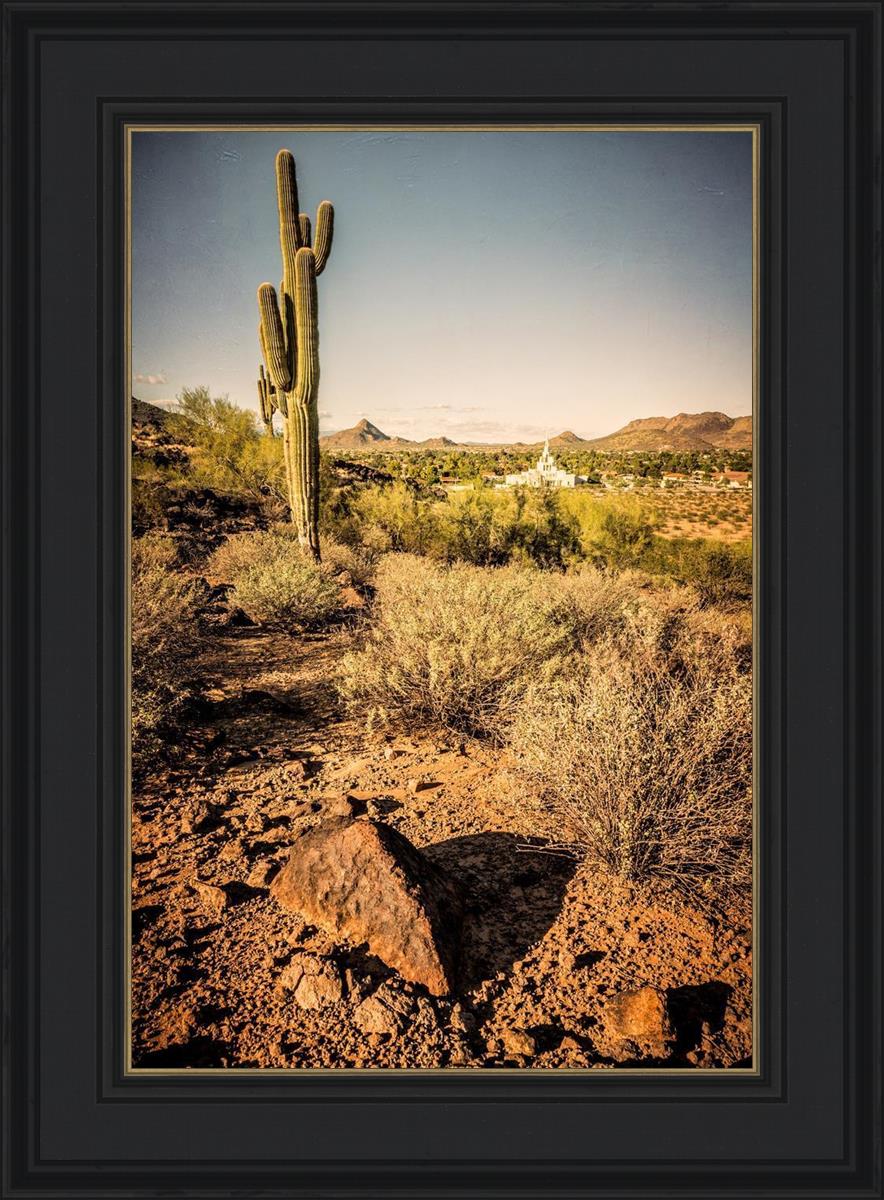 Phoenix Cactus Hill