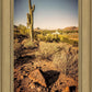 Phoenix Cactus Hill