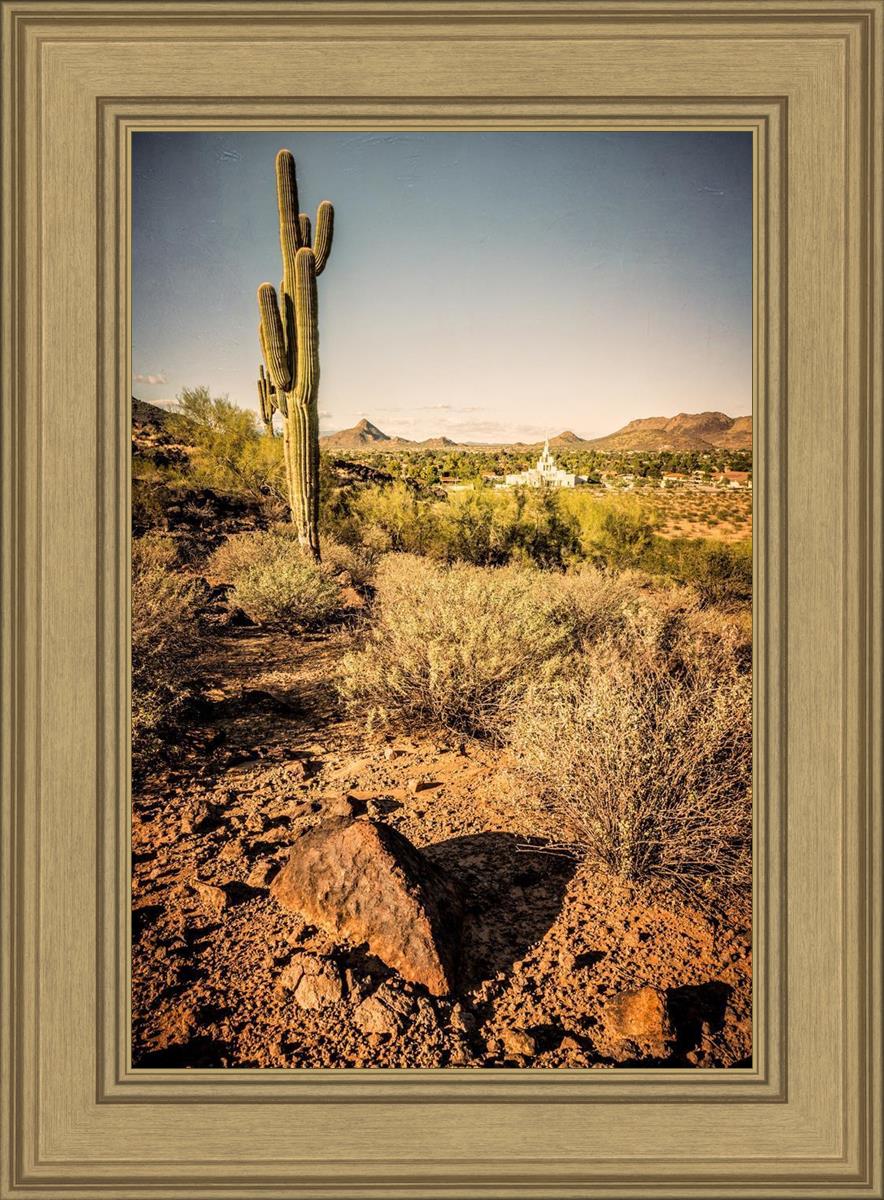 Phoenix Cactus Hill