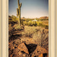 Phoenix Cactus Hill
